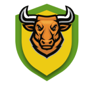 Lahore Region Blues-logo