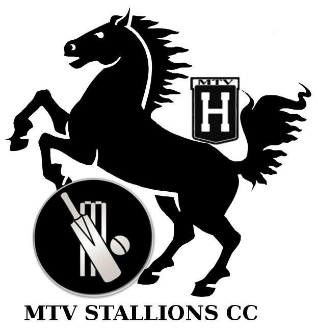 MTV Stallions