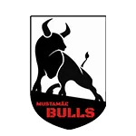 Mustamae Bulls