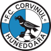 CS Corvinul 1921 Hunedoara