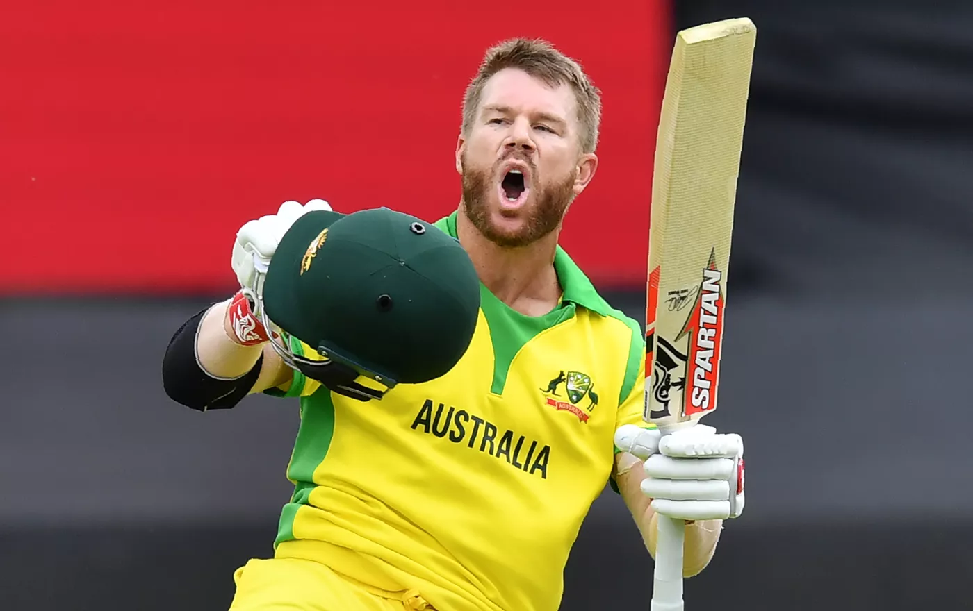 David Warner in ICC Cricket World Cup 2019