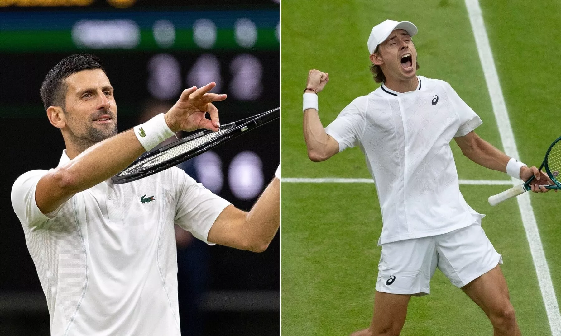 Wimbledon 2024: Novak Djokovic Vs Alex De Minaur Preview, Head-to-head ...