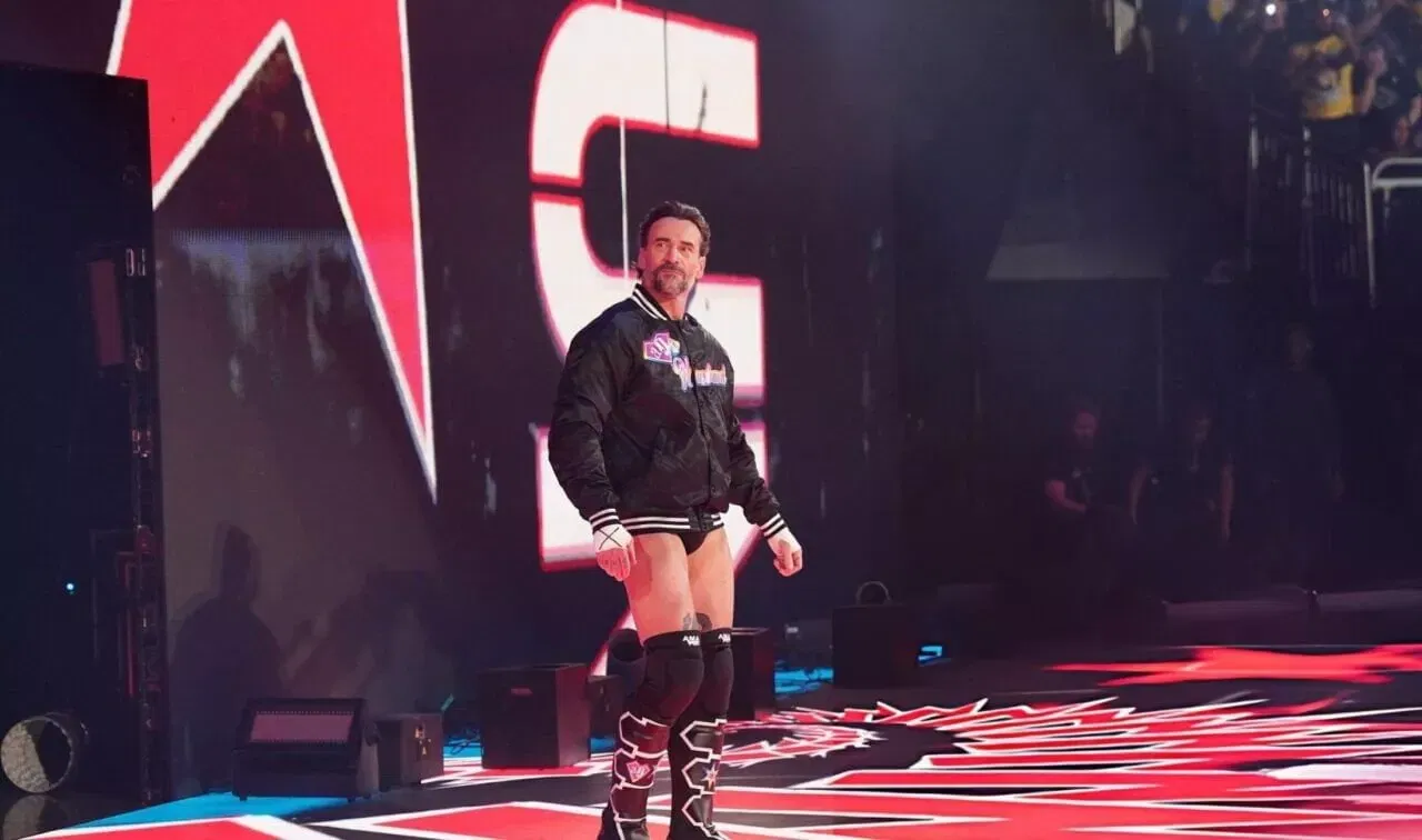 WWE RAW Wrestlepalooza CM Punk