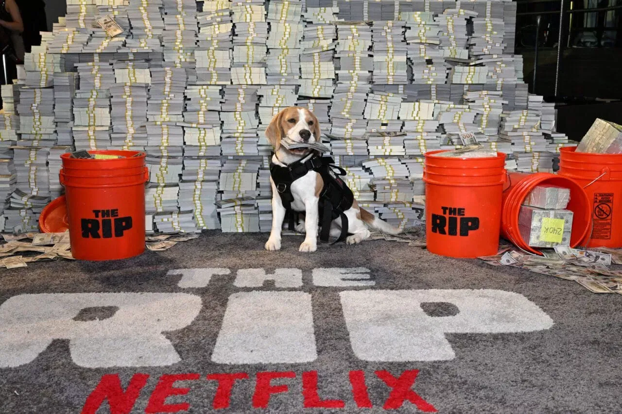 The RIP World Premiere