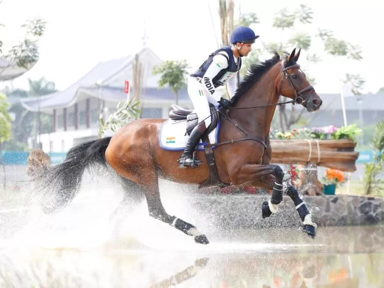 all-you-need-to-know-equestrian-sports