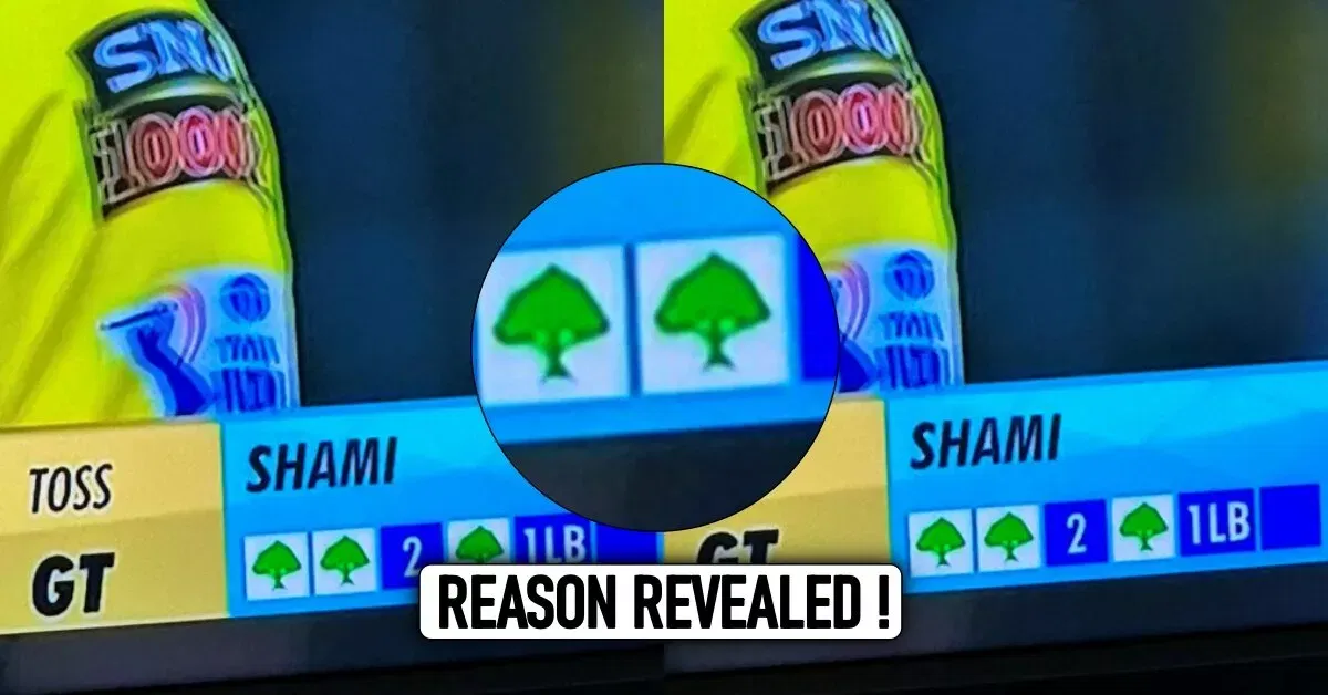 Revealed Why dot balls are being shown as trees in scorecard in IPL 2023 playoffs