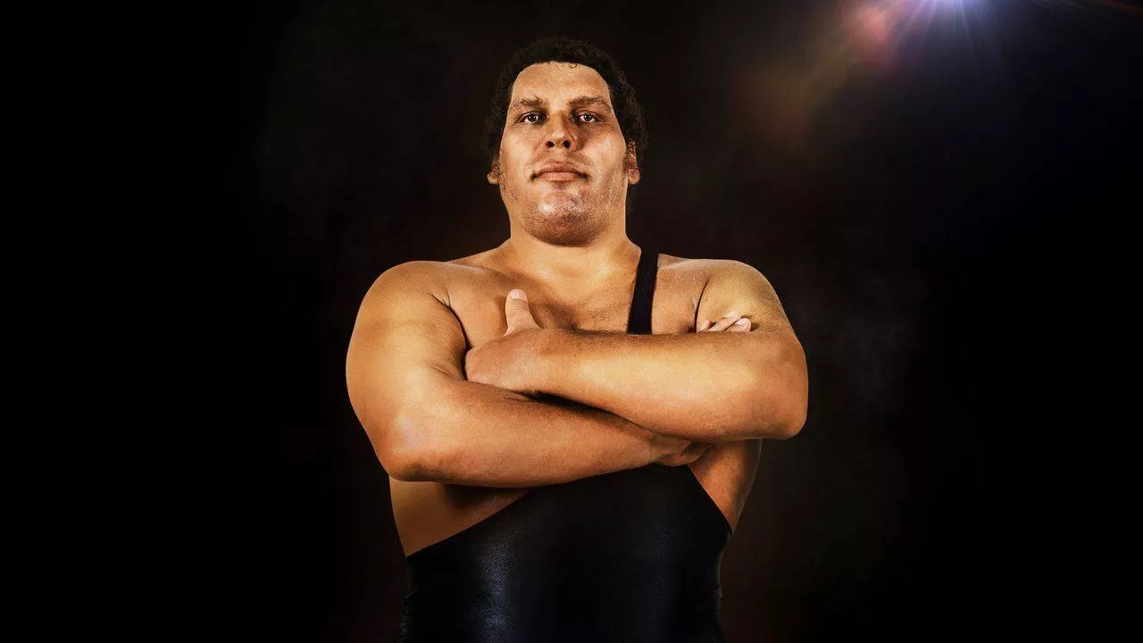Andre The Giant WWE
