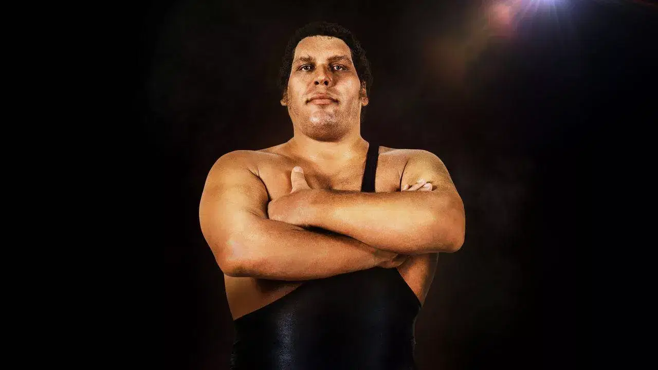 Andre The Giant WWE