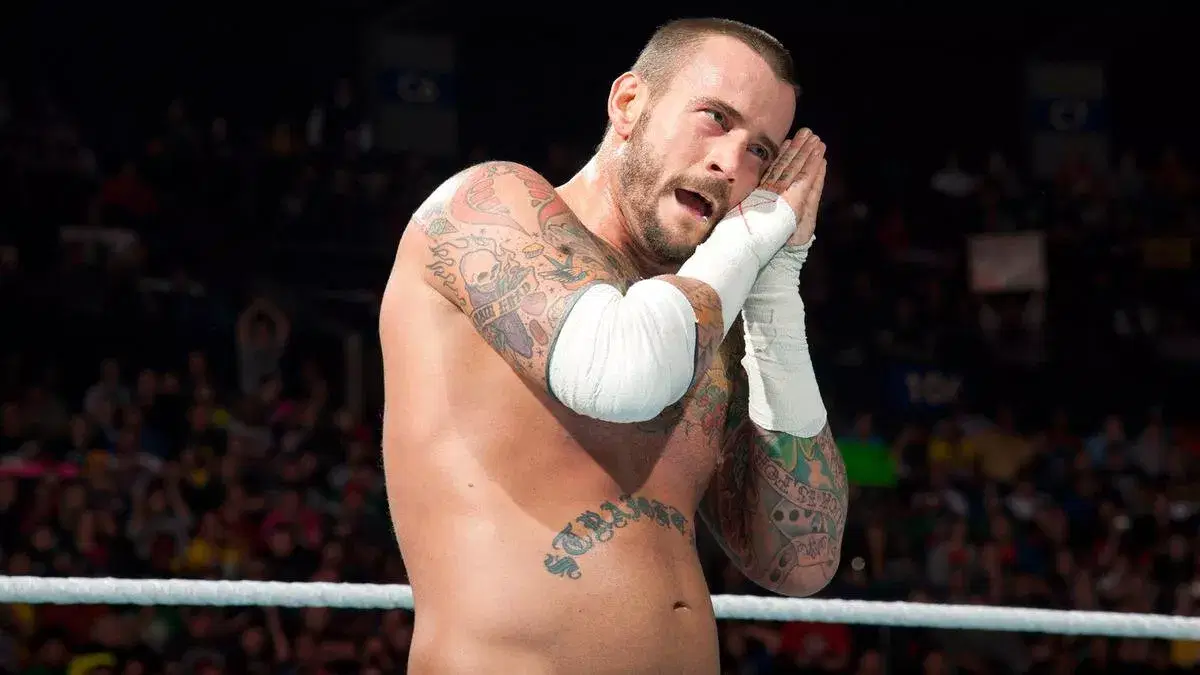 CM Punk WWE