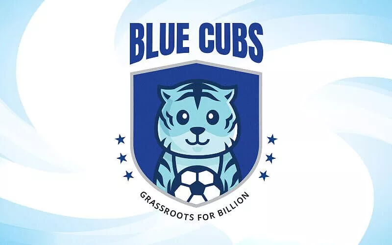 Blue Cubs League