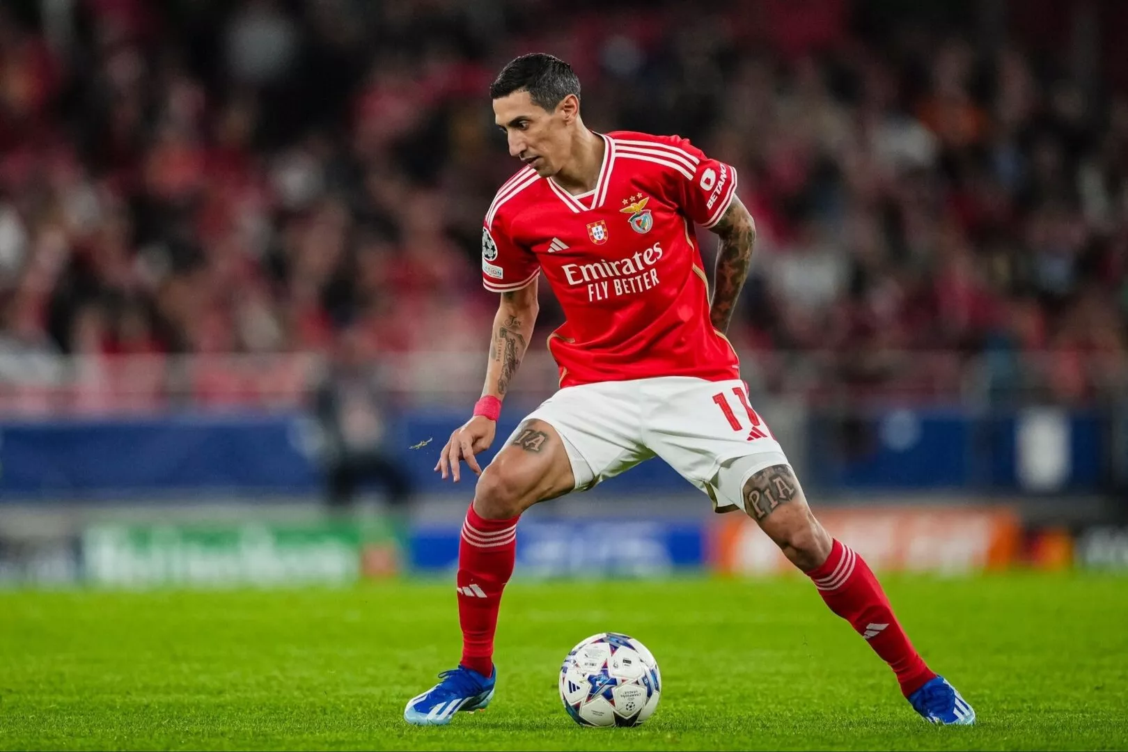 Benfica plans to keep Angel Di Maria for one more season