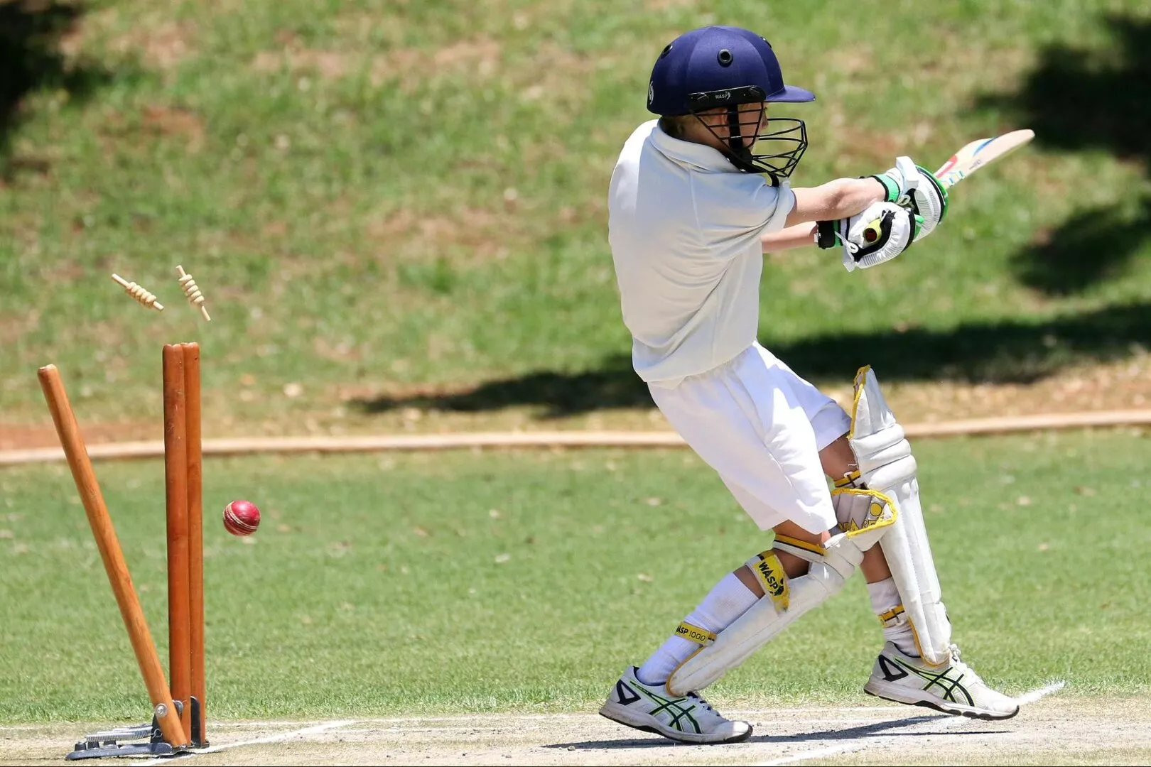 World Cup Cricket