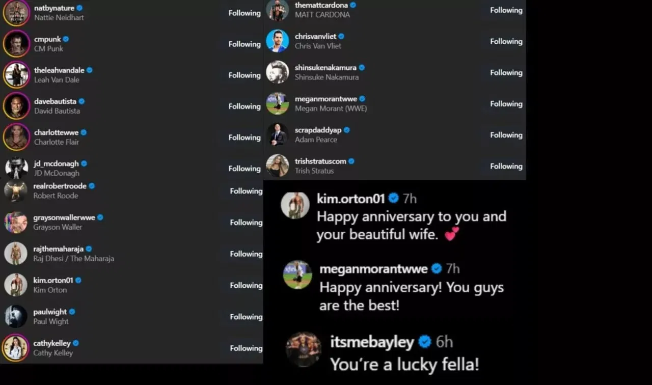 Screenshots of stars' likes and comments [Image credits: Sheamus' Instagram]